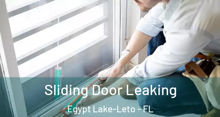 Sliding Door Leaking Egypt Lake-Leto - FL