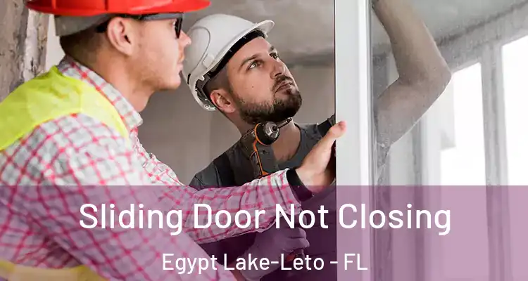Sliding Door Not Closing Egypt Lake-Leto - FL
