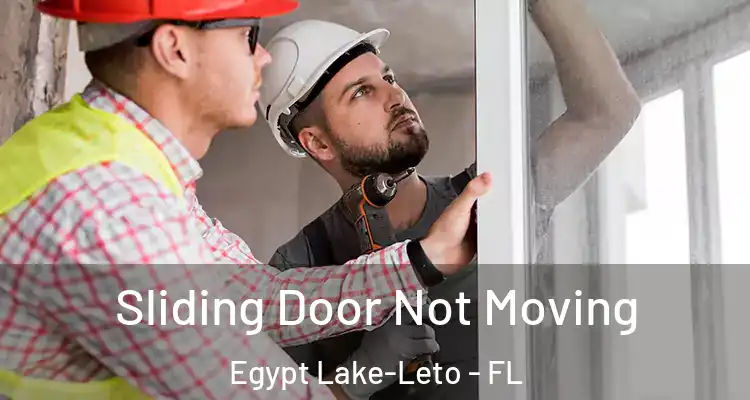 Sliding Door Not Moving Egypt Lake-Leto - FL