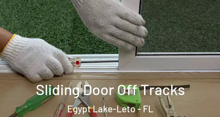 Sliding Door Off Tracks Egypt Lake-Leto - FL