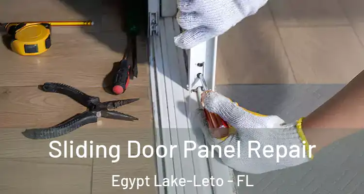 Sliding Door Panel Repair Egypt Lake-Leto - FL