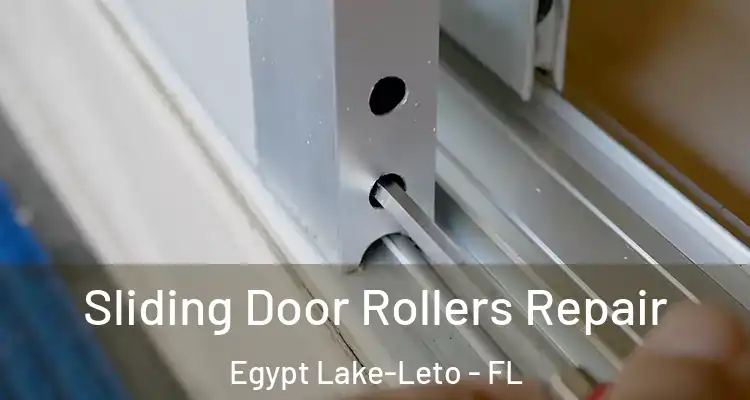 Sliding Door Rollers Repair Egypt Lake-Leto - FL