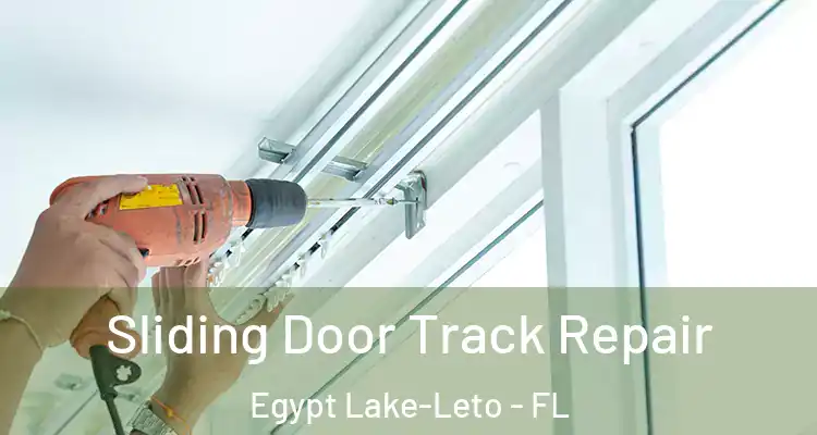 Sliding Door Track Repair Egypt Lake-Leto - FL