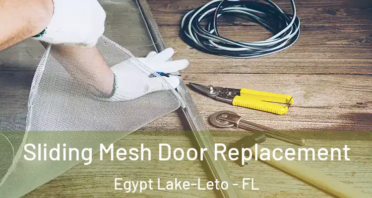 Sliding Mesh Door Replacement Egypt Lake-Leto - FL