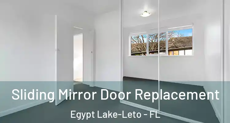 Sliding Mirror Door Replacement Egypt Lake-Leto - FL