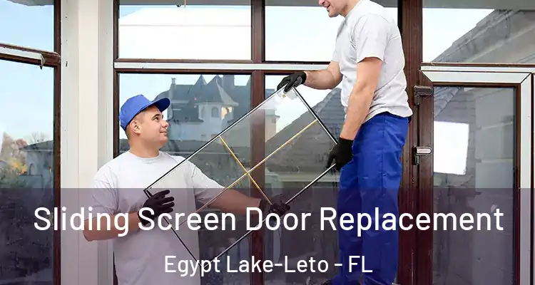Sliding Screen Door Replacement Egypt Lake-Leto - FL