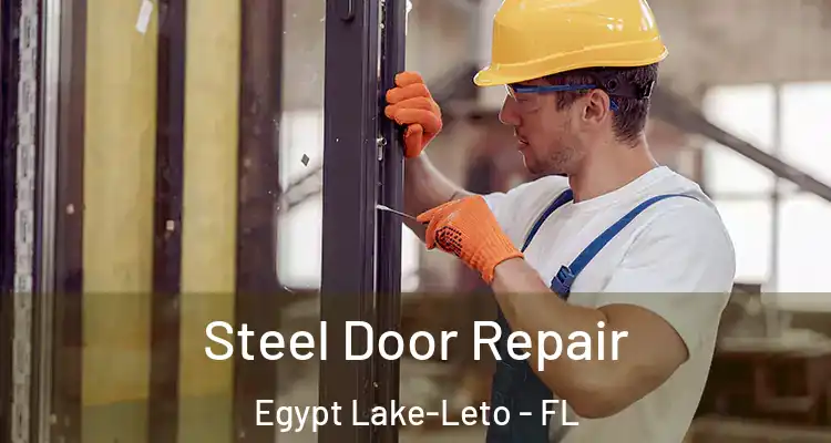 Steel Door Repair Egypt Lake-Leto - FL
