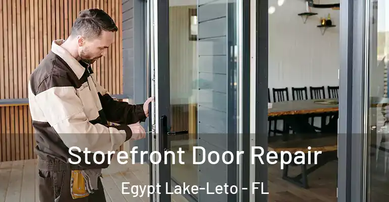 Storefront Door Repair Egypt Lake-Leto - FL