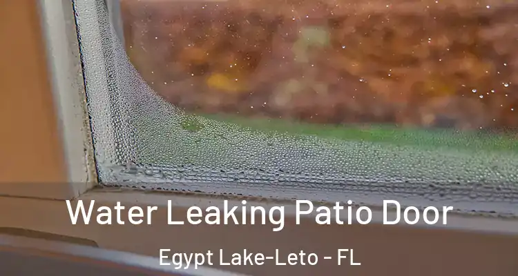 Water Leaking Patio Door Egypt Lake-Leto - FL