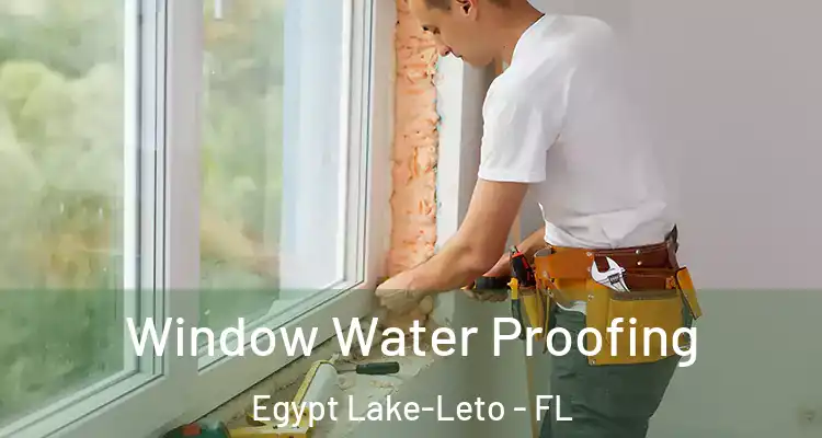 Window Water Proofing Egypt Lake-Leto - FL