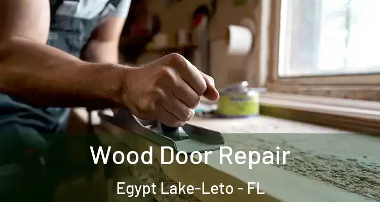 Wood Door Repair Egypt Lake-Leto - FL